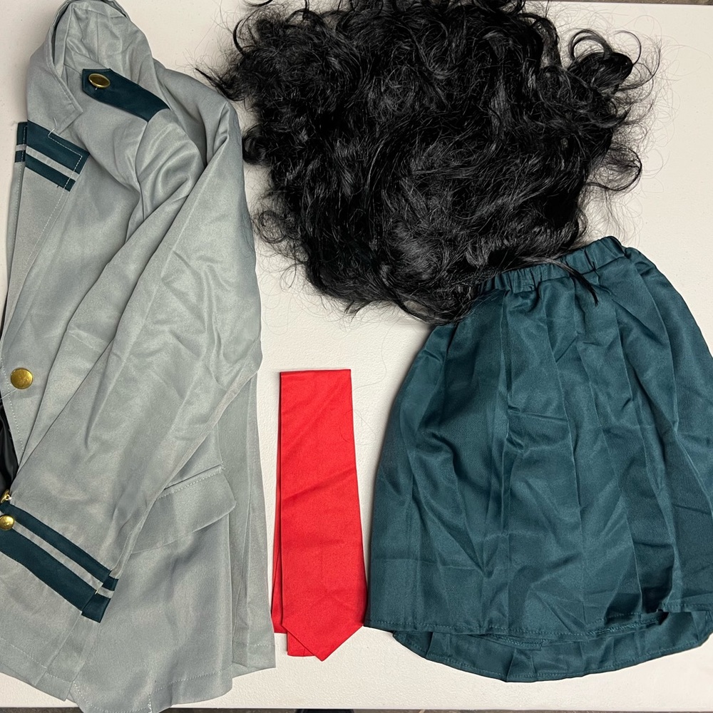 Japanese School Girl Costume